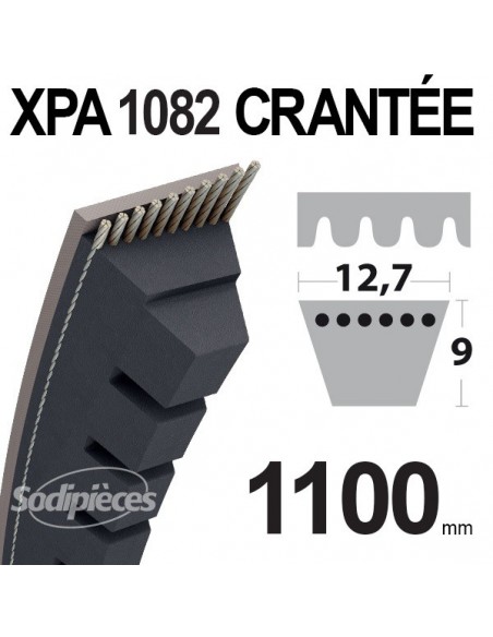 Courroie tondeuse XPA1082 Trapézoïdale Crantée - 12,7 mm x 1100mm