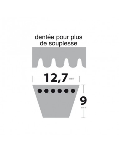 Courroie tondeuse XPA900 Trapézoïdale crantée. 12,7 mm x 917 mm.