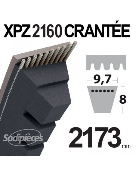 Courroie tondeuse XPA1082 Trapézoïdale Crantée - 12,7 mm x 1100mm