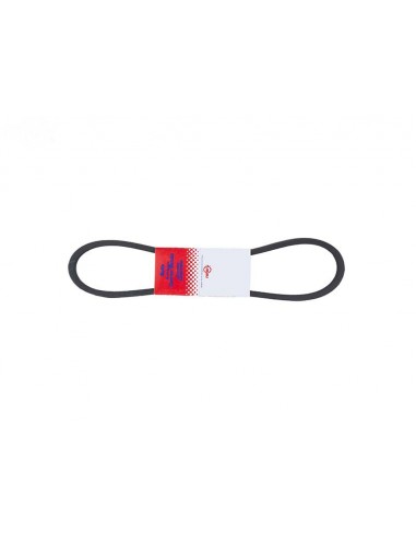 Courroie tondeuse 5L100 Kevlar Trapézoïdale. 15,8 mm x 2540 mm