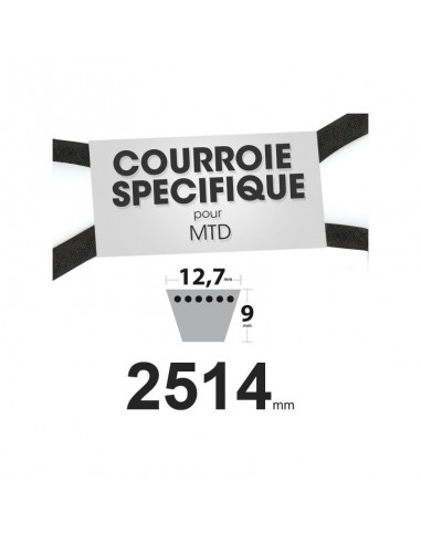 Courroie tondeuse spécifique MTD 7540439. 15,8 mm x 1524 mm