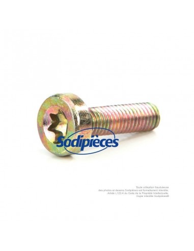 Vis Torx pour Stihl MS180. D5 x 24. 9075 478 4155
