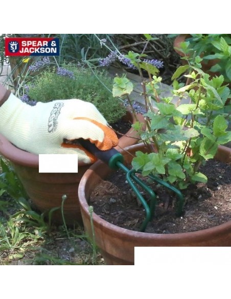 Bêche Spear & Jackson avec manche bois Coloris : bleu