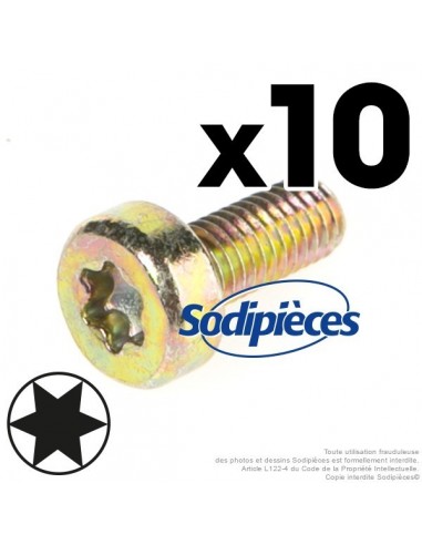 Vis Torx 27 M5 x 12 pour Stihl. Par 10