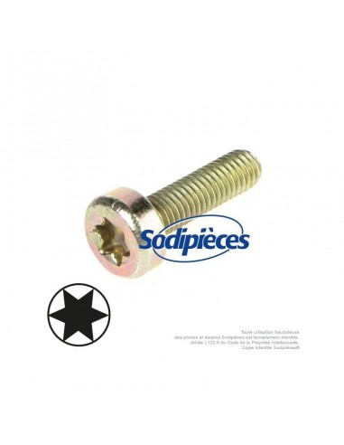 Vis Torx 27 M5 x 18 pour Stihl. 9048 216 1010