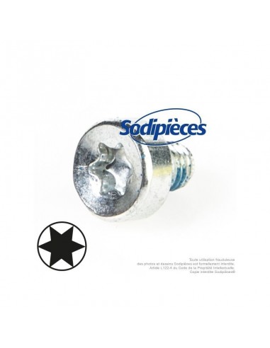 Vis Torx 27 M5 x 8 pour Stihl