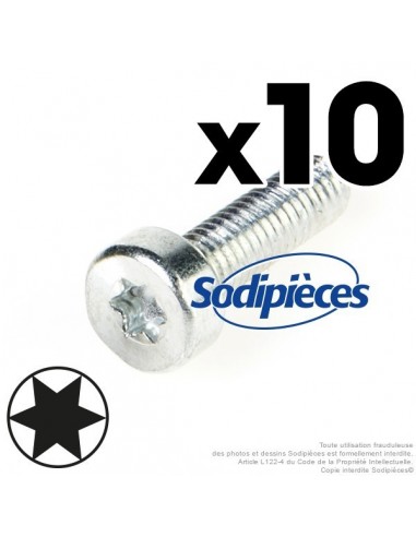 Vis Torx 27 M6 x 20 pour Stihl. Par 10