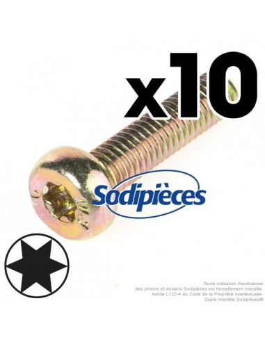 Vis Torx 27 M6 x 25 pour Stihl. Par 10