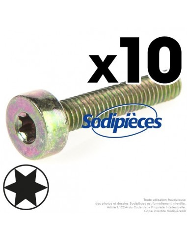 Vis Torx 27 M6 x 30 pour Stihl. Par 10