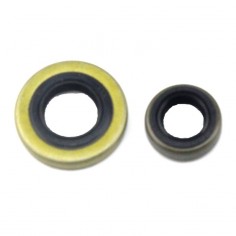 Jeu de joint Spi de vilebrequin Stihl