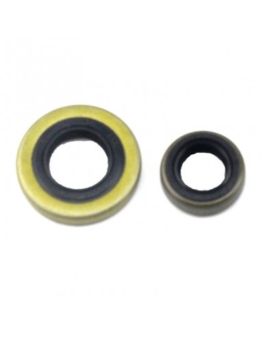 Jeu de joint Spi de vilebrequin Stihl