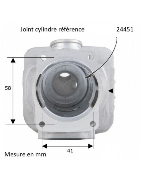 Cylindre piston tronçonneuse Stihl MS361 Ø 47mm