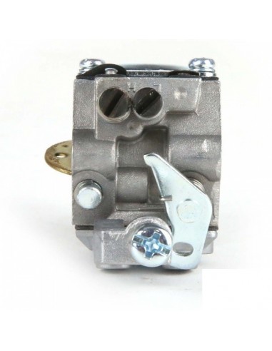 Carburateur pour Briggs & Stratton N°795477