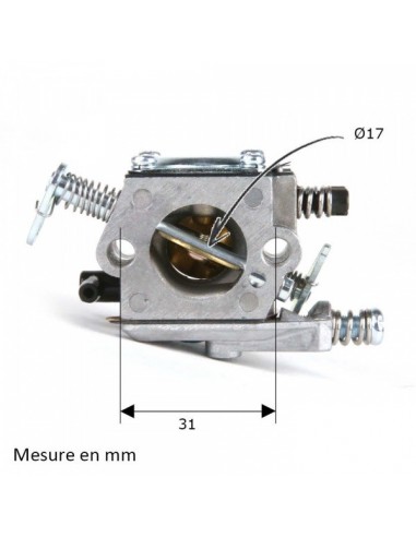 Carburateur pour Briggs & Stratton N°795477