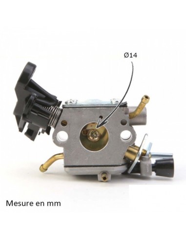 Carburateur pour Briggs & Stratton N°795477