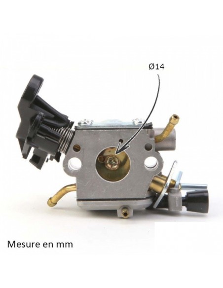Carburateur pour Briggs & Stratton N°795477