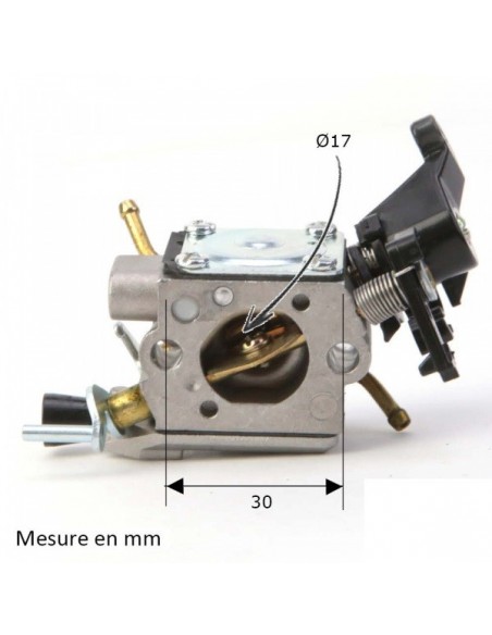 Carburateur pour Briggs & Stratton N°795477