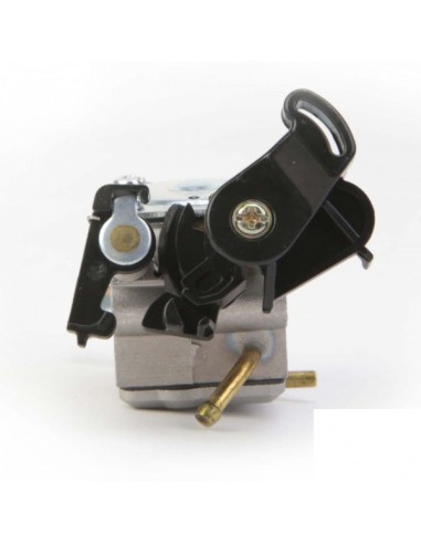 Carburateur pour Briggs & Stratton N°795477