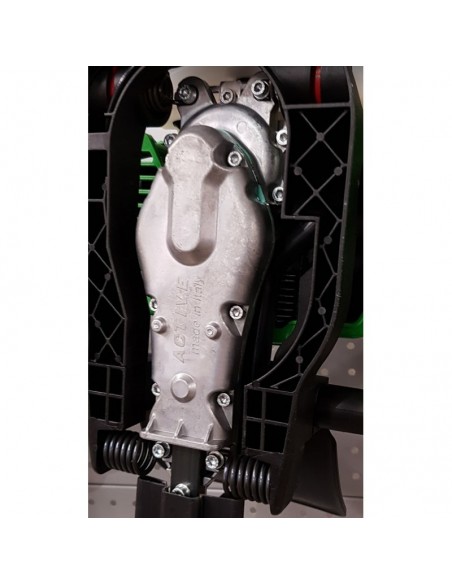 TAILLE - HAIES ACTIVE (coupe de 60 cm)