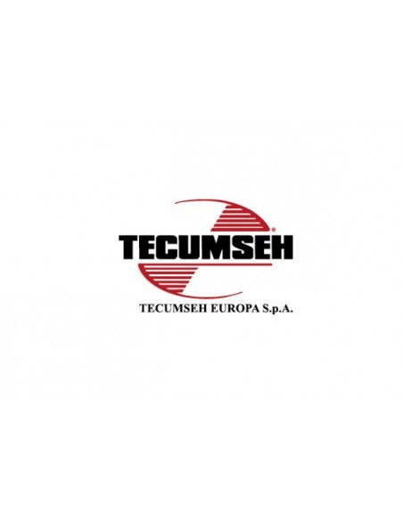Jeu de segments pour Tecumseh 27889