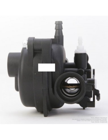 Carburateur pour Briggs & Stratton N°799584, 592361