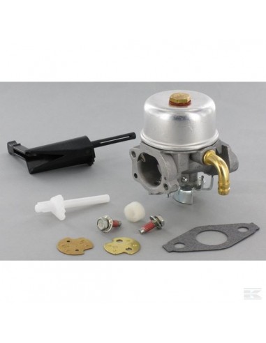 Carburateur pour Briggs & Stratton N°796608