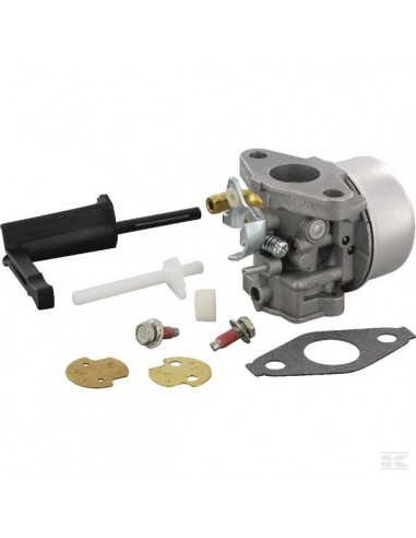 Carburateur pour Briggs & Stratton N°796608