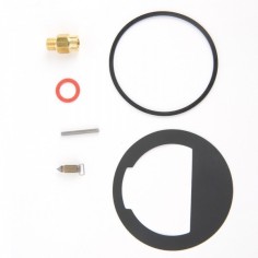 Kit réparation pour carburateur Briggs & Stratton 494624, 495606