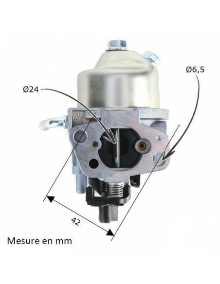 Carburateur pour débroussailleuse Echo GT-2400, SRM-2400, PAS-2400, HCA-2400, PPT-2400, SRS-2400, HCA-2410, HCA-2500, SHC-2400