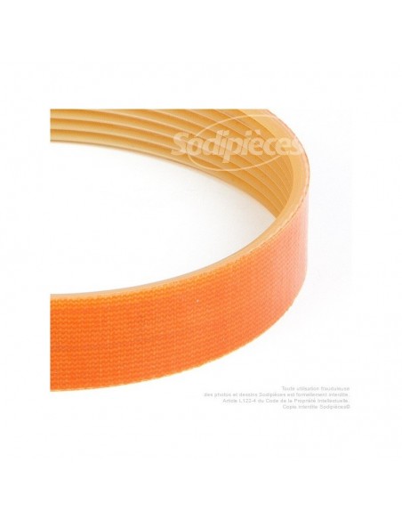 Courroie pour électro portatif 248x12