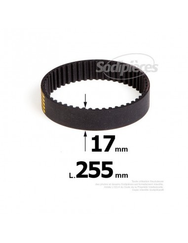 Courroie pour électro portatif 255x17