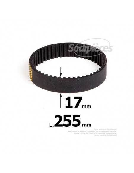 Courroie pour électro portatif 255x17