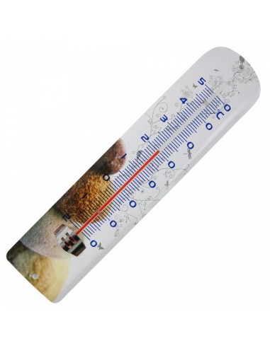 Thermomètre Spear & Jackson plastique imprimé coccinnelle