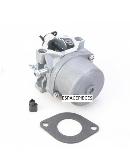 Carburateur pour Briggs & Stratton 799728