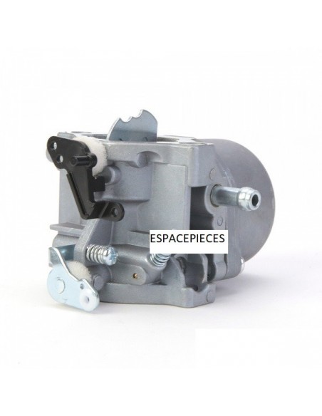Carburateur pour Briggs & Stratton 799728