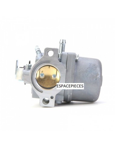 Carburateur pour Briggs & Stratton 799728