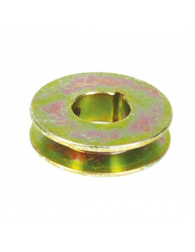 Poulie pour Castelgarden Ø 55 mm. Ales. 22,2 mm