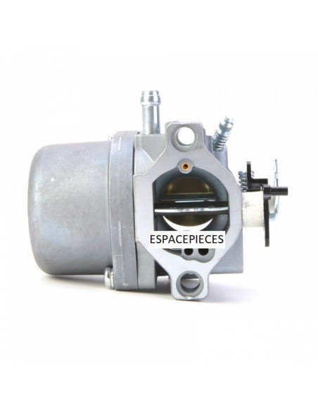 Carburateur pour Briggs & Stratton 799728
