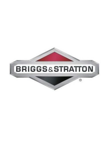 Joint d'admission pour Briggs & Stratton