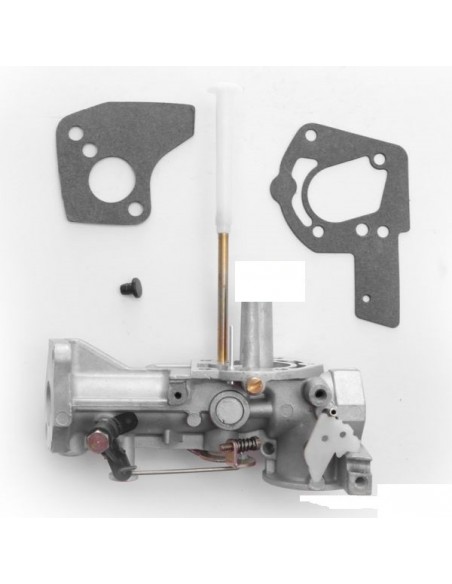 Carburateur pour Briggs & Stratton 498298