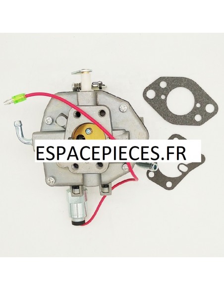 Carburateur pour Briggs & Stratton 845015