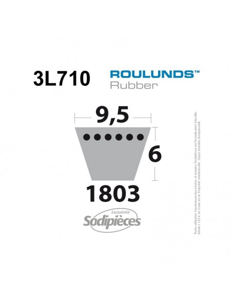Courroie tondeuse 3L710 Roulunds Continental 9,5 x 6 x 1803 mm