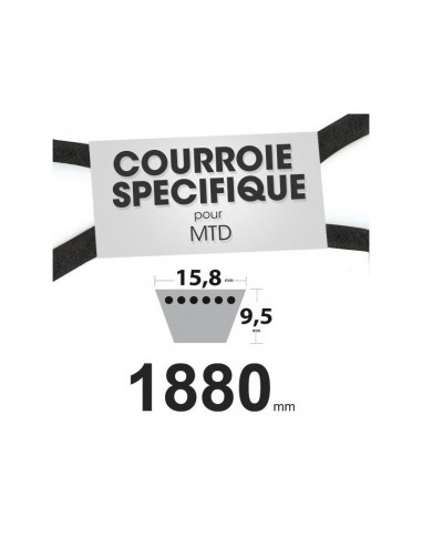 Courroie tondeuse spécifique MTD 7540371A. 15,8 mm x 1880 mm.