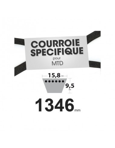 Courroie tondeuse spécifique pour MTD N° 7540280. 15,8 mm x 1346 mm.
