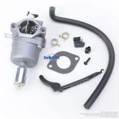Carburateur-pour-Briggs-Stratton-N794572-26049