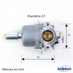 Carburateur-pour-Briggs-Stratton-N794572-26049 2