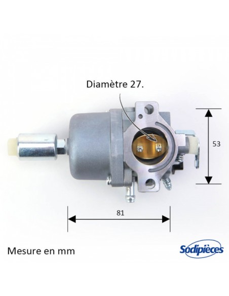 Carburateur-pour-Briggs-Stratton-N794572-26049