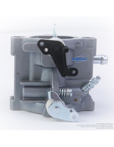 Carburateur-pour-Briggs-Stratton-N794572-26049