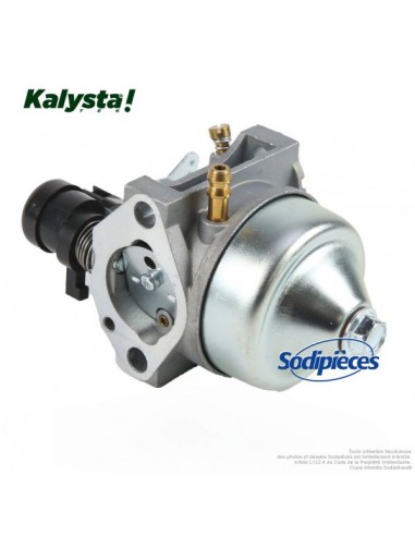 Carburateur-pour-Honda-16100-Z0L-876-26060