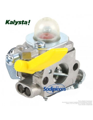 Carburateur-pour-Ryobi-Homelite-3074504-26064